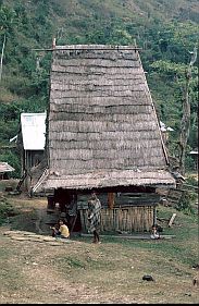 Traditionelles Haus (rumah asli) in Sambori