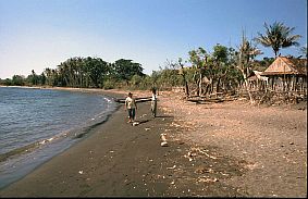 Strand von Kiwu