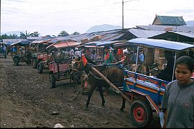 'Taxistand' (Ben Hur = Pferdewagen) auf dem Markt in Tente sdlich von Bima