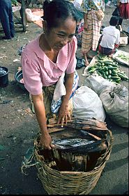 Frau verkauft gegrillten Fisch