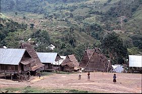 Traditionelle Huser (rumah asli) in Sambori