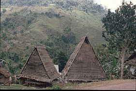 Traditionelle Huser (rumah asli) in Sambori
