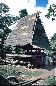 Traditionelles Haus (rumah asli) in Sambori