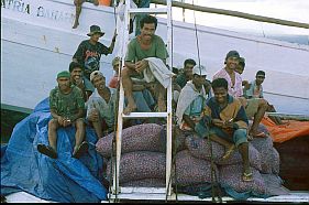 Ladearbeiter auf Zwiebelscken im Hafen von Bima