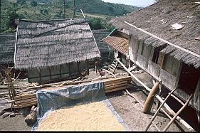 Mbawa: Reis wird getrocknet