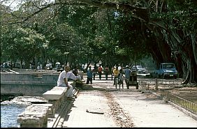 Dili: Strandpromenade mit kanonen aus portugiesischer Zeit