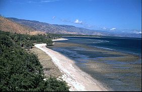Strand zwischen Dili und Manatutu