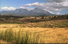 Abgeerntete Reisfelder, im Hintergrund das Mata Bia Massiv (2315 m)