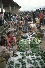 Markt in Kural