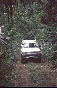 Unser Pickup im Dschungel bei Iliom