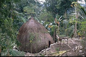 traditionelles Haus in Boti