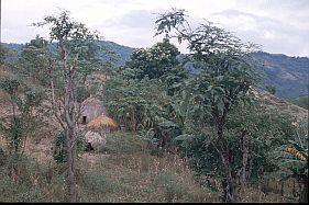 traditionelle Huser und Landschaft zwischen Soe und Eban 