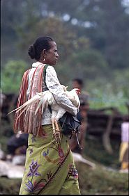Frau mit Hahn auf dem Markt in Fatumnasi 