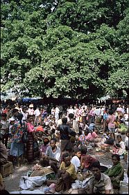 Markt am Tono-Fluss unter groen Banyan-Bumen