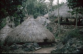 traditionelle Atoni-Huser in Tamkesi