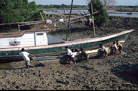 ein Boot wird durch den Schlamm transportiert (Kletek)