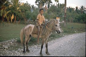 Junge auf einem Pferd (Kletek)