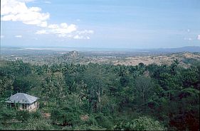 Landschaft zwischen Kupang und Soe