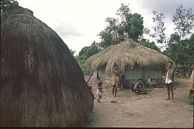 Atoni-Leute beim Dachdecken