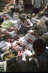 Skartoffeln auf dem Markt in Maubesi