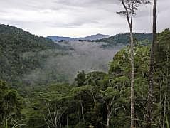 Auf dem Weg nach Anggi: Berglandschaft