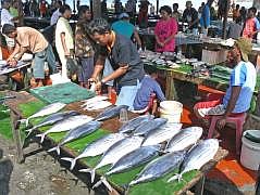 Biak: Fischmarkt