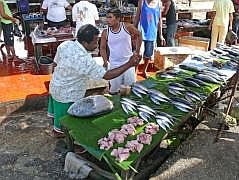 Biak: Fischmarkt