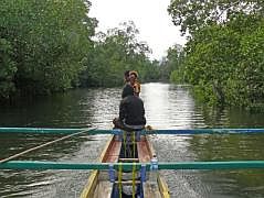 Fahrt von Rayori durch die Mangroven zurck nach Korido