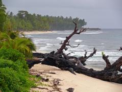 Strand an der Nordkste