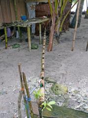 Traditionelles Dorf Maruih: Wasserleitung aus Bambus