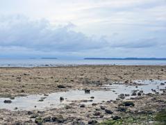 Strand bei Marau, im Hintergrund die Padaido-Inseln