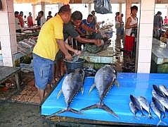 Manokwari Fischmarkt (Pasar Ikan)