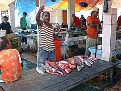 Manokwari Fischmarkt (Pasar Ikan)