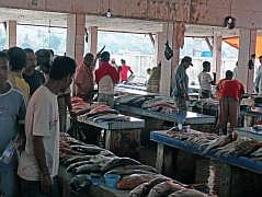 Manokwari Fischmarkt (Pasar Ikan)