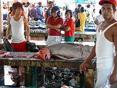 Manokwari Fischmarkt (Pasar Ikan)