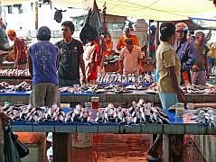 Manokwari Fischmarkt (Pasar Ikan)