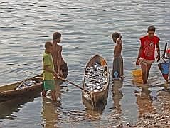 Manokwari Fischmarkt (Pasar Ikan)