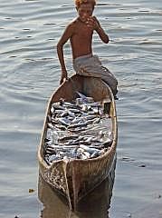 Manokwari Fischmarkt (Pasar Ikan)