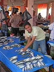 Manokwari Fischmarkt (Pasar Ikan)