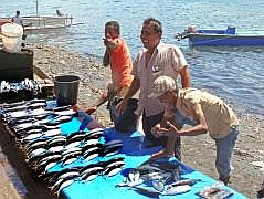 Manokwari Fischmarkt (Pasar Ikan)