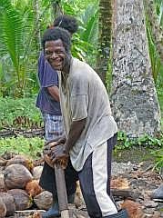 Numfor: Kokosfasern werden von den Nssen entfernt
