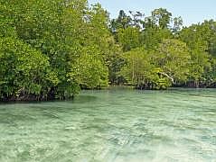 Numfor: Mit dem Boot um die ganze Insel - Lagune von Namber