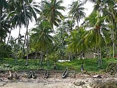 Numfor: Mit dem Boot um die ganze Insel