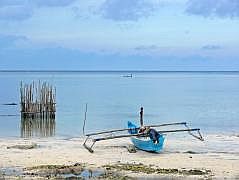 Numfor: Mit dem Boot um die ganze Insel - Manggari; in dem Gehege wird eine Meeres-Schildkrte gehalten