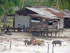 Numfor: Mit dem Boot um die ganze Insel - Manggari