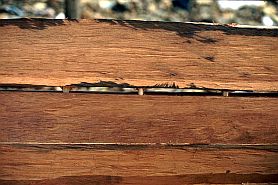 Die Planken werden durch Holzdbel zusammengehalten