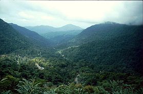 Strae ins Gebirge von Toraja