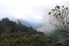 Strae ins Gebirge von Toraja