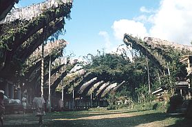 Toraja-Dorf Nanggala