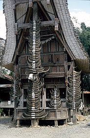 Palawa: traditionelles Haus mit vielen Bffelhrnern